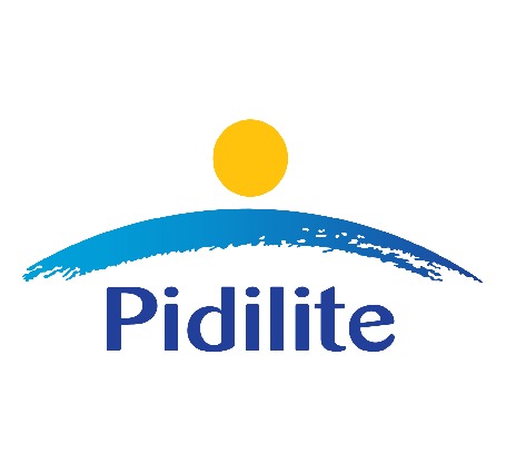 Case Study for Waewhouse Management System Client Pidilite - Godrej Koerber